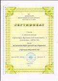Сертификат участия в районном семинаре "Организация образовательной деятельности в соответствии с ФГОС ДО" 2015 Сертификат участия в районном семинаре "Организация образовательной деятельности в соответствии с ФГОС ДО" 2015